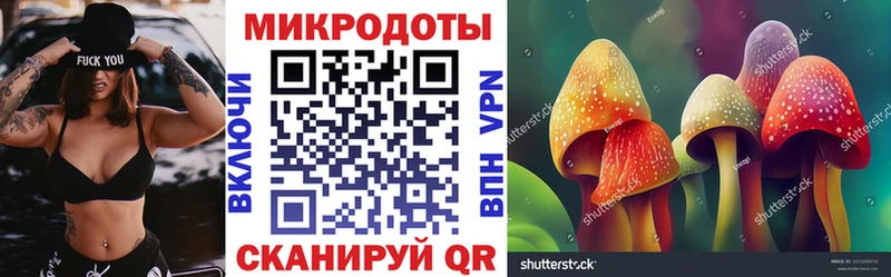 Галлюциногенные грибы Psilocybe  Канаш 